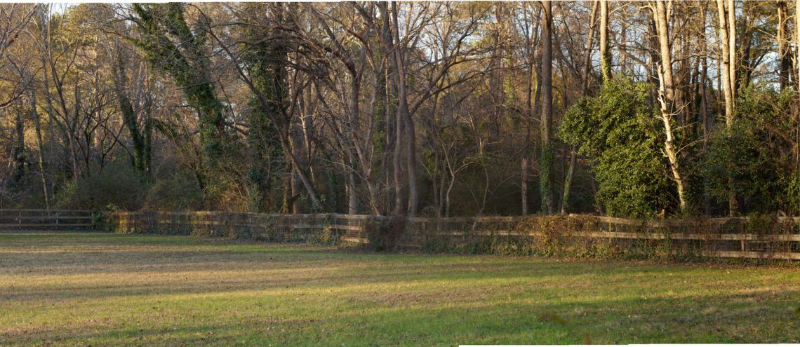 A Hidden Gem for Landscape Photography - Rodenstock 120 APO Macro