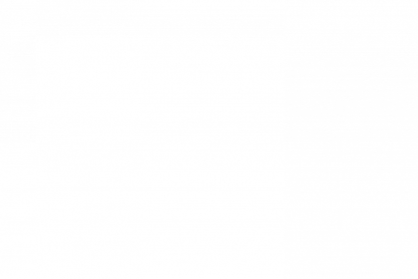 In Memory and Recognition: Thomas Weber of Alpa