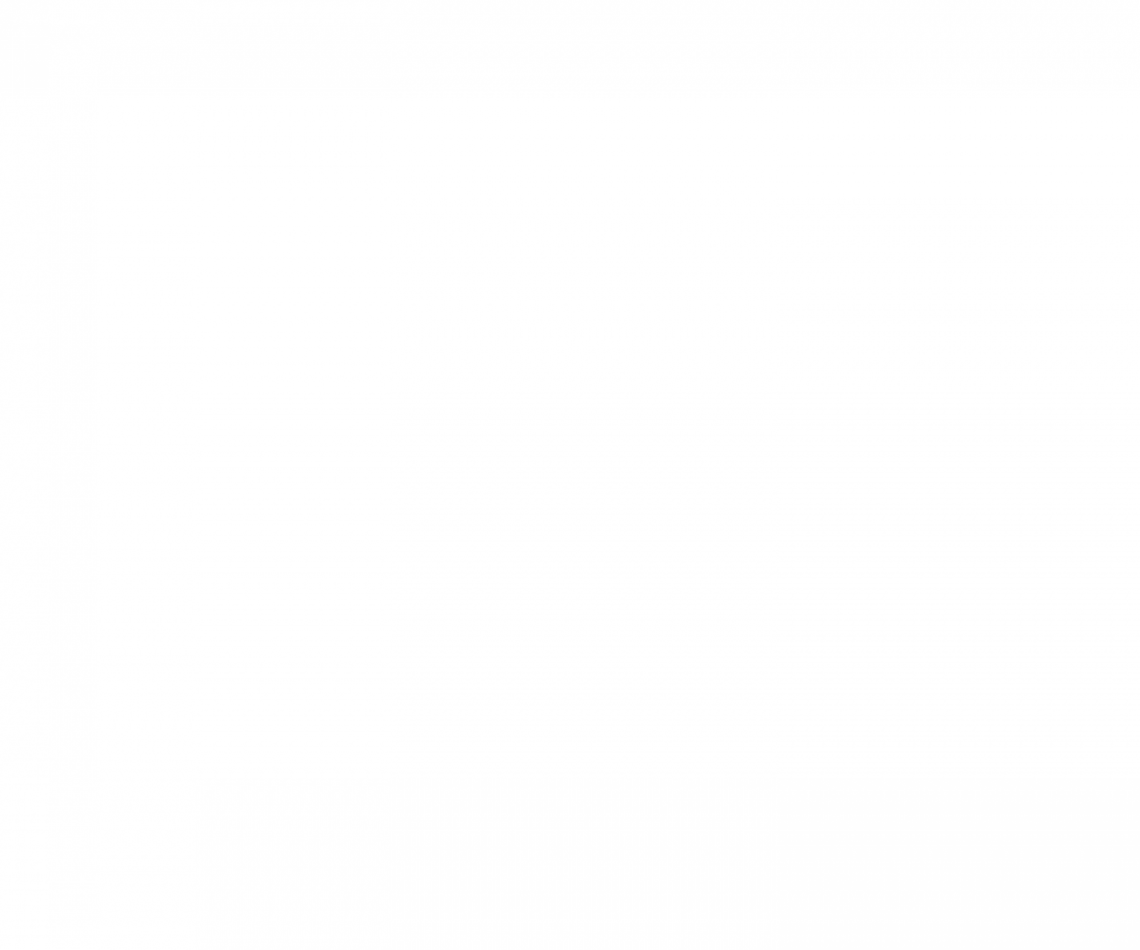 12 Deals of Christmas – Inventory Reductions Everyday!